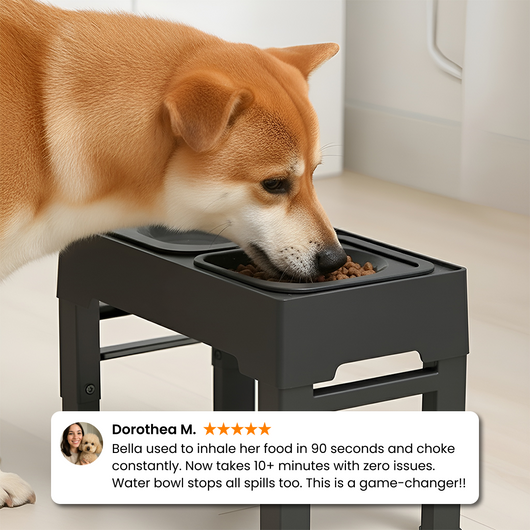 Ready for mess-free mealtimes?