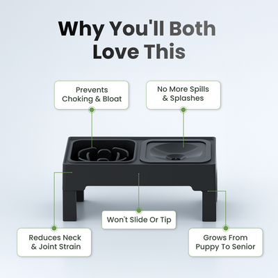 Ready for mess-free mealtimes?