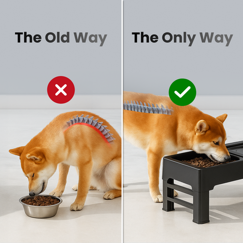 Ready for mess-free mealtimes?