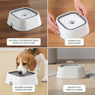 Ready for mess-free mealtimes?